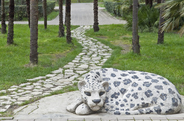 Similar image 113292