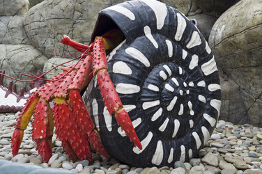 Similar image 113293