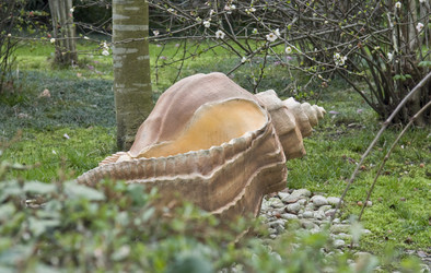 Similar image 113295