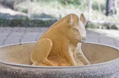 Similar image 113296