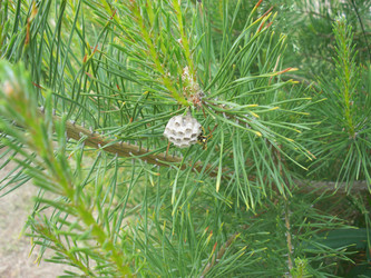 Similar image 113318