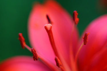 Similar image 113340