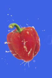 Similar image 113348