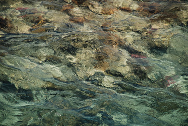 Similar image 113350