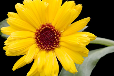 Similar image 113364