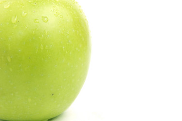 Similar image 113372