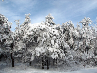 Similar image 113403