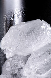 Similar image 113456