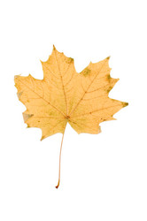 Similar image 113501