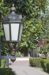 Similar image 113503