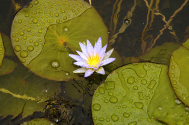 Similar image 113508