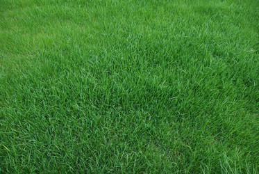 Similar image 113511