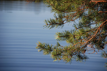 Similar image 113512