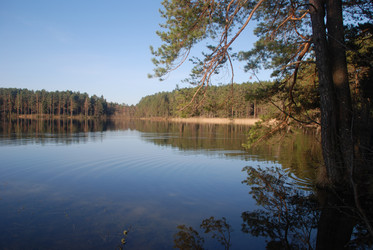 Similar image 113514