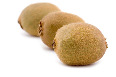 Similar image 113557