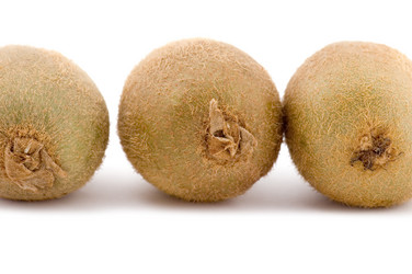 Similar image 113558