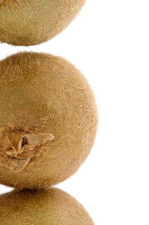 Similar image 113559