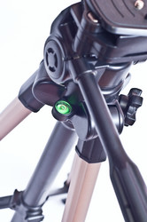 Similar image 113575