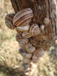 Similar image 113626