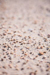 Similar image 113669