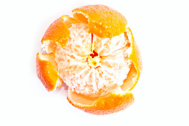 Similar image 113680