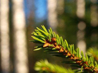 Similar image 113702