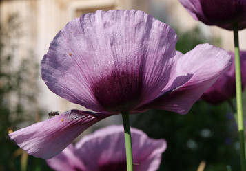 Similar image 113712