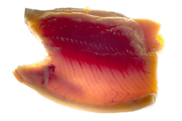 Similar image 113741