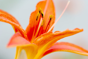 Similar image 113793