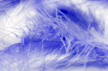 Similar image 113798