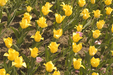 Similar image 113882