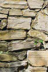 Similar image 113893