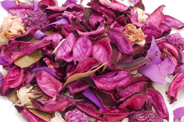 Similar image 113907