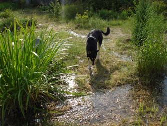 Similar image 113917