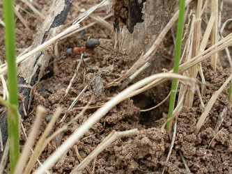 Similar image 113923