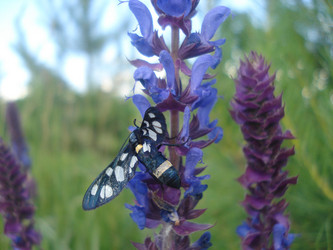 Similar image 113926