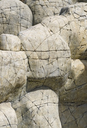 Similar image 113930