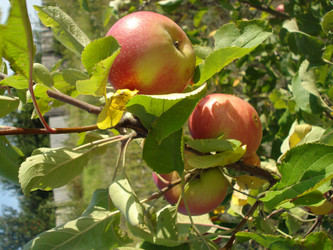 Similar image 113931