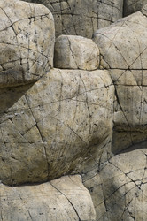 Similar image 113935