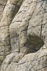 Similar image 113937