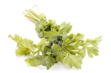 Similar image 114004