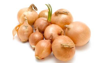 Similar image 114005