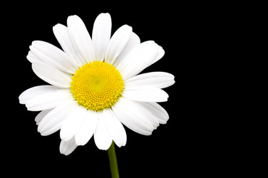 Similar image 114017