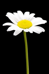 Similar image 114018