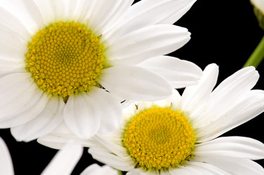 Similar image 114019