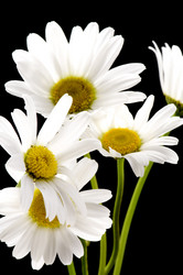 Similar image 114022