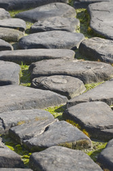 Similar image 114035