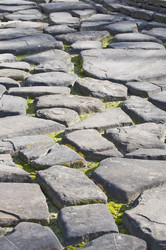 Similar image 114037