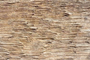 Similar image 114092