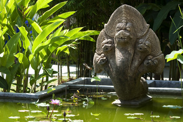 Similar image 114102